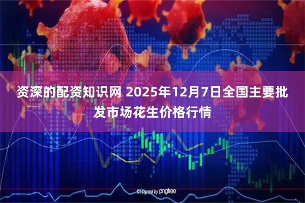 资深的配资知识网 2025年12月7日全国主要批发市场花生价格行情