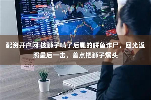 配资开户网 被狮子啃了后腿的鳄鱼诈尸，回光返照最后一击，差点把狮子爆头